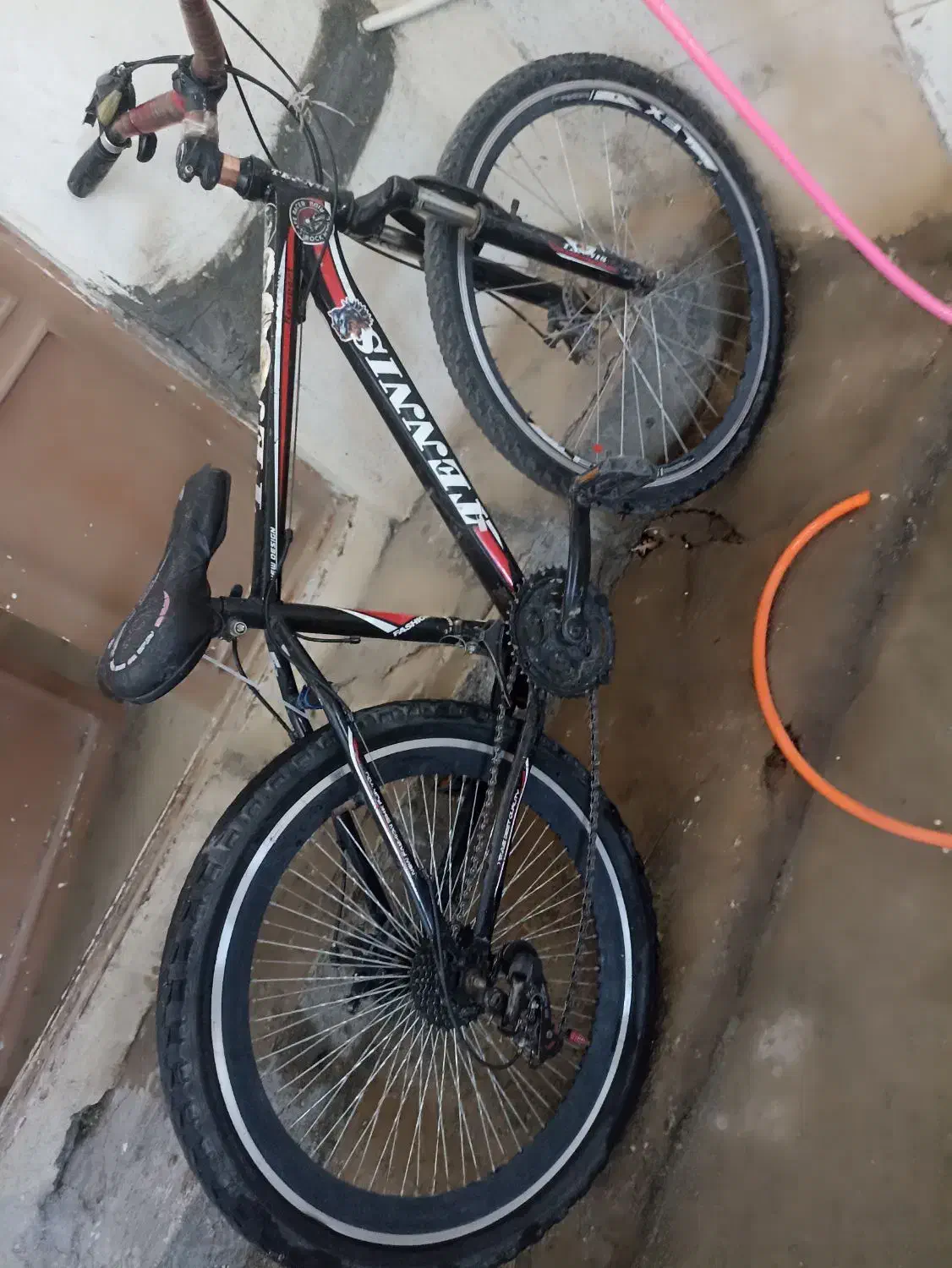 دوچرخه 26|دوچرخه، اسکیت، اسکوتر|قیدار, |دیوار