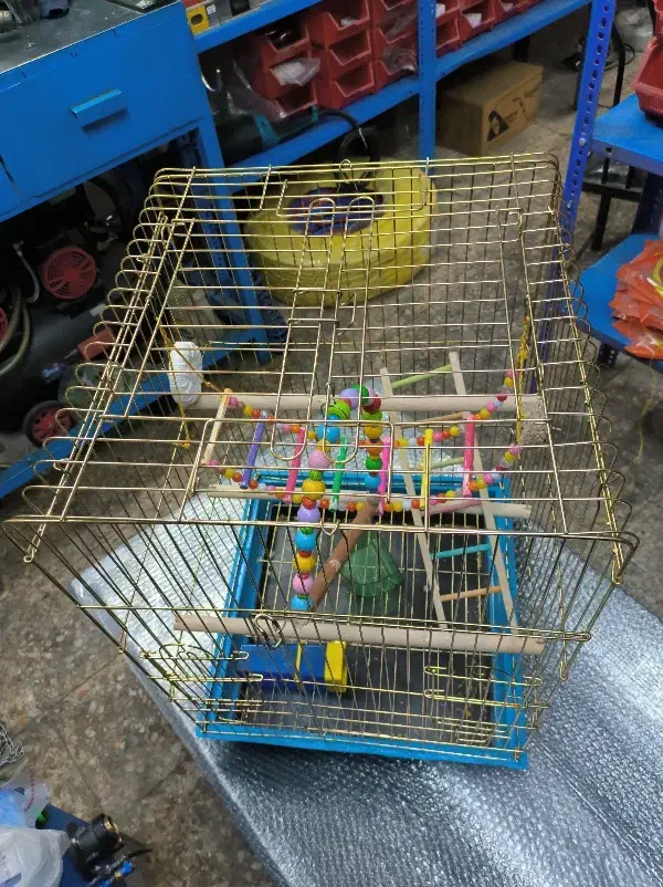 قفس بزرگ فانتزی|لوازم جانبی حیوانات|اصفهان, جوزدان الیادران|دیوار