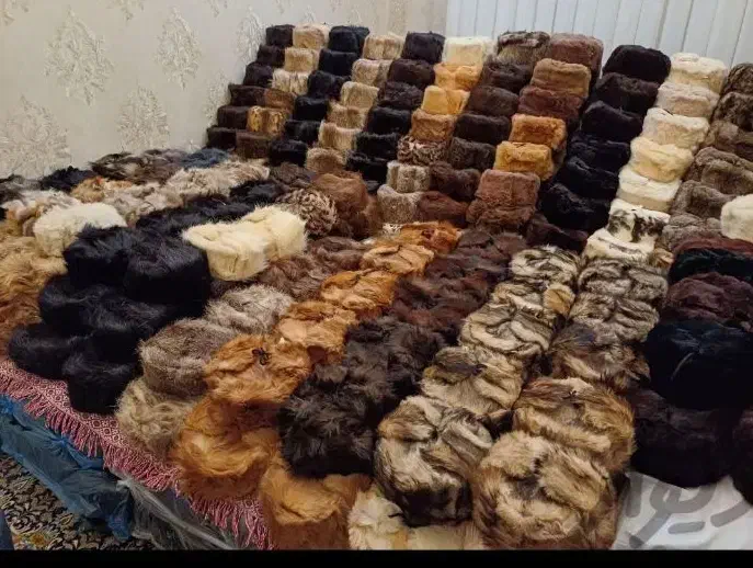 کلاه روسی|لباس|شیروان (خراسان), |دیوار