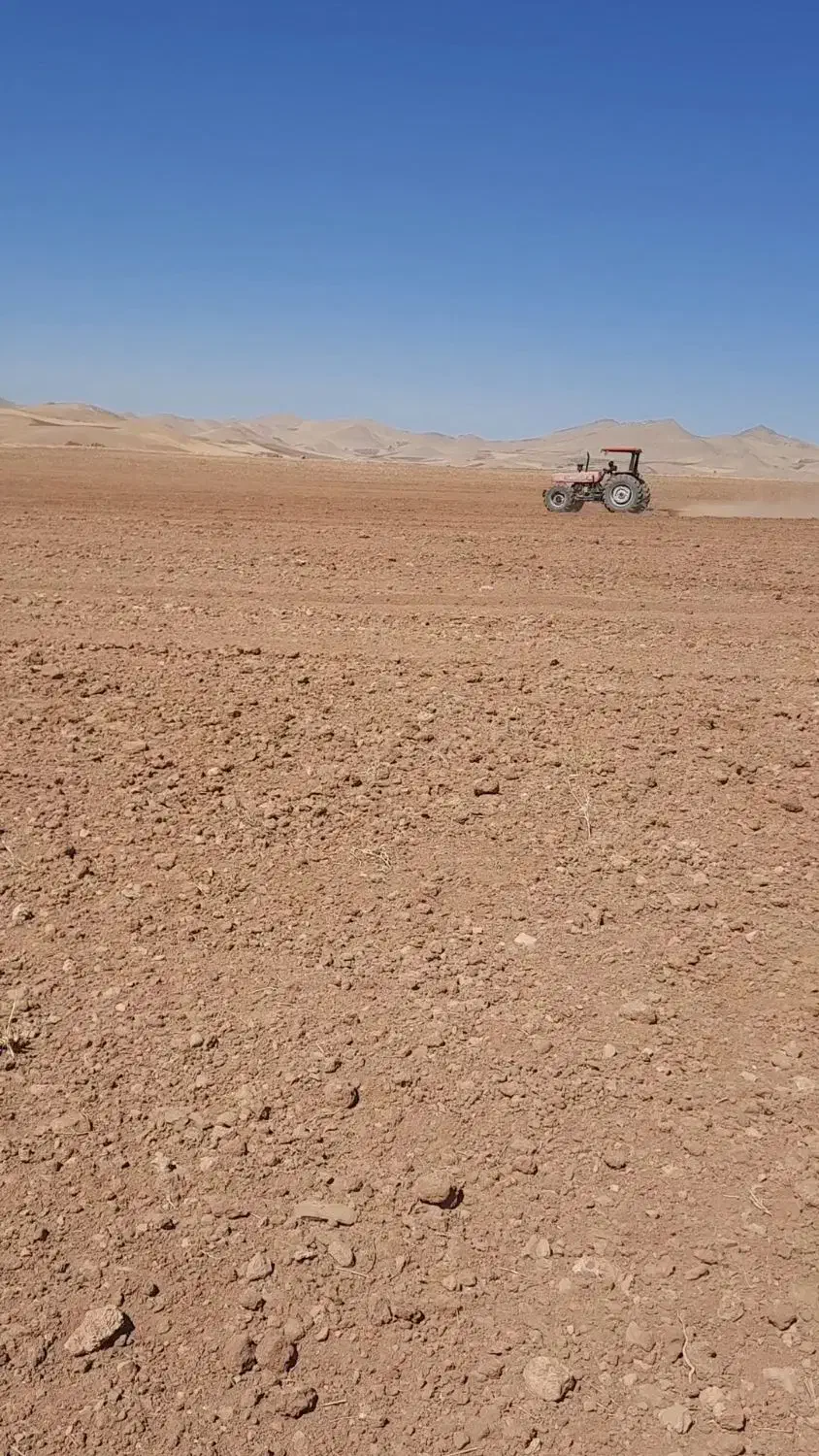 زمین رهنی به مساحت 6 هکتار|فروش زمین و ملک کلنگی|کلیائی, |دیوار