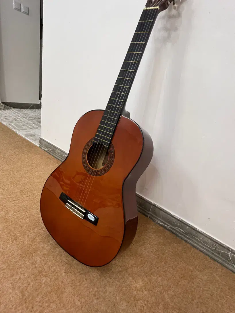 گیتار کلاسیک والنسیا گالری موسیقی آرتیاپاساژشهرسبز|گیتار، بیس، امپلیفایر|لاهیجان, انقلاب|دیوار