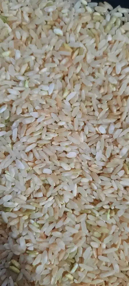 برنج چمه خوش عطر بو|خوردنی و آشامیدنی|یاسوج, |دیوار