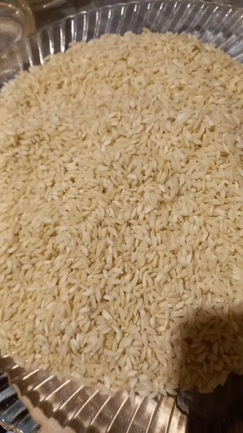 ۱۰۰ کیلو بومی بفروش میرسده|خوردنی و آشامیدنی|اصفهان, باغ زرشک|دیوار