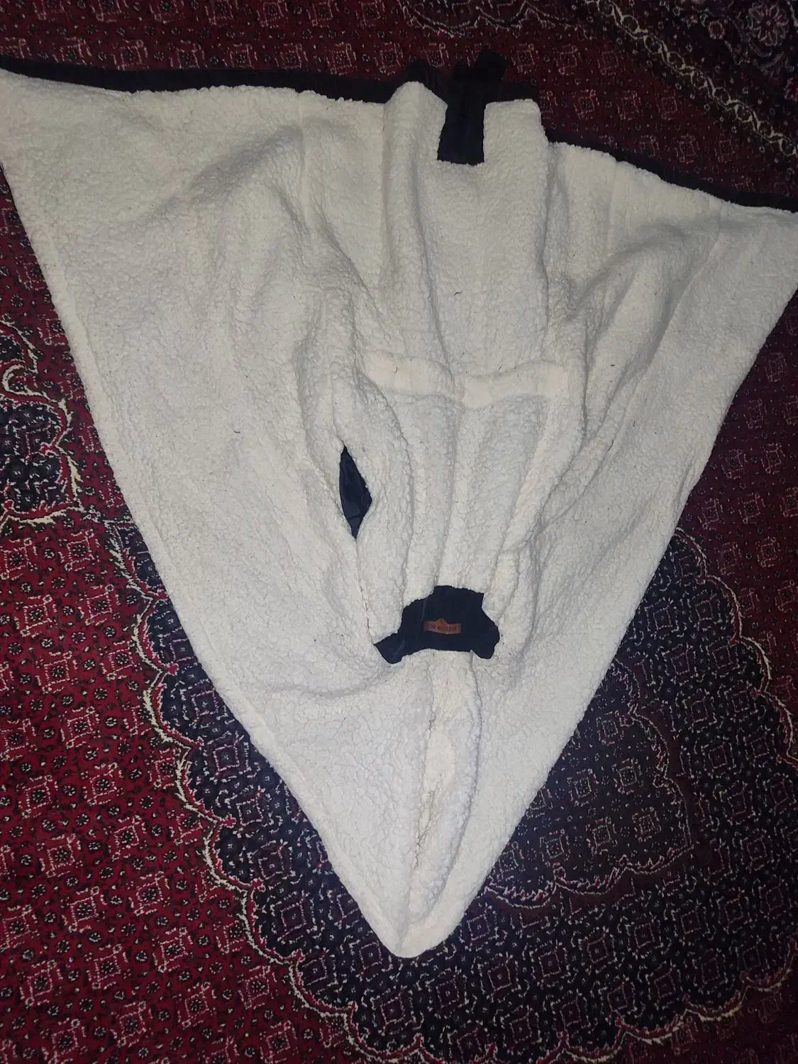 پالتو|لباس|سنقر, |دیوار