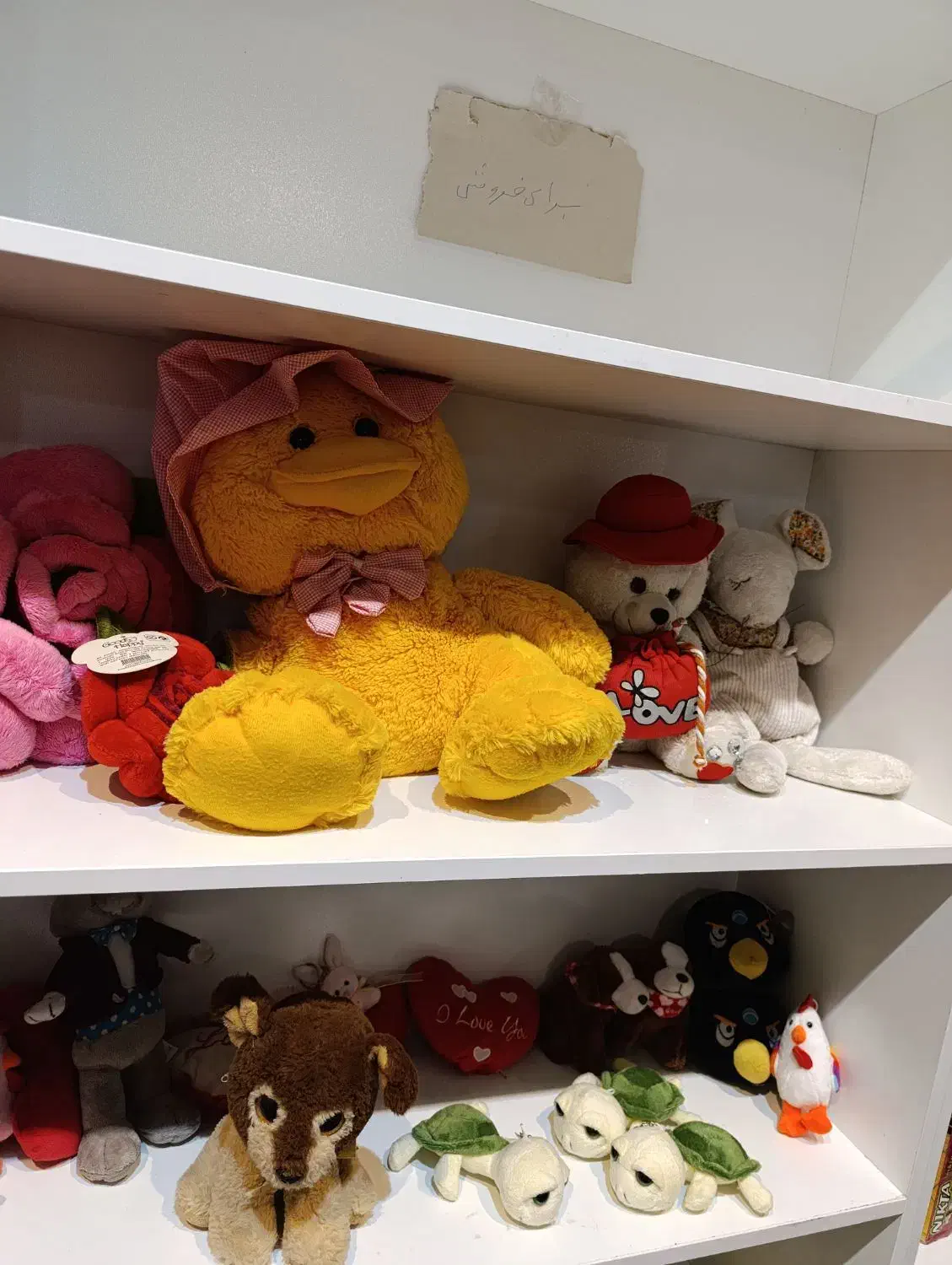 عروسک پولیشی|اسباب‌بازی بچه|گرگان, |دیوار