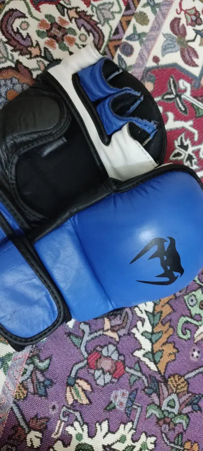 دستکش MMA|تجهیزات ورزشی|تربت‌حیدریه, بوستان باغ ملی|دیوار