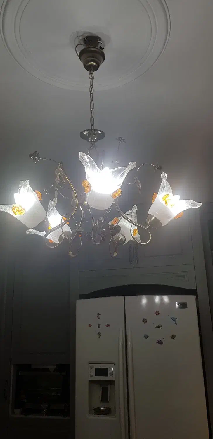 لوستر|لوستر و چراغ آویز|تهران, دژکام|دیوار