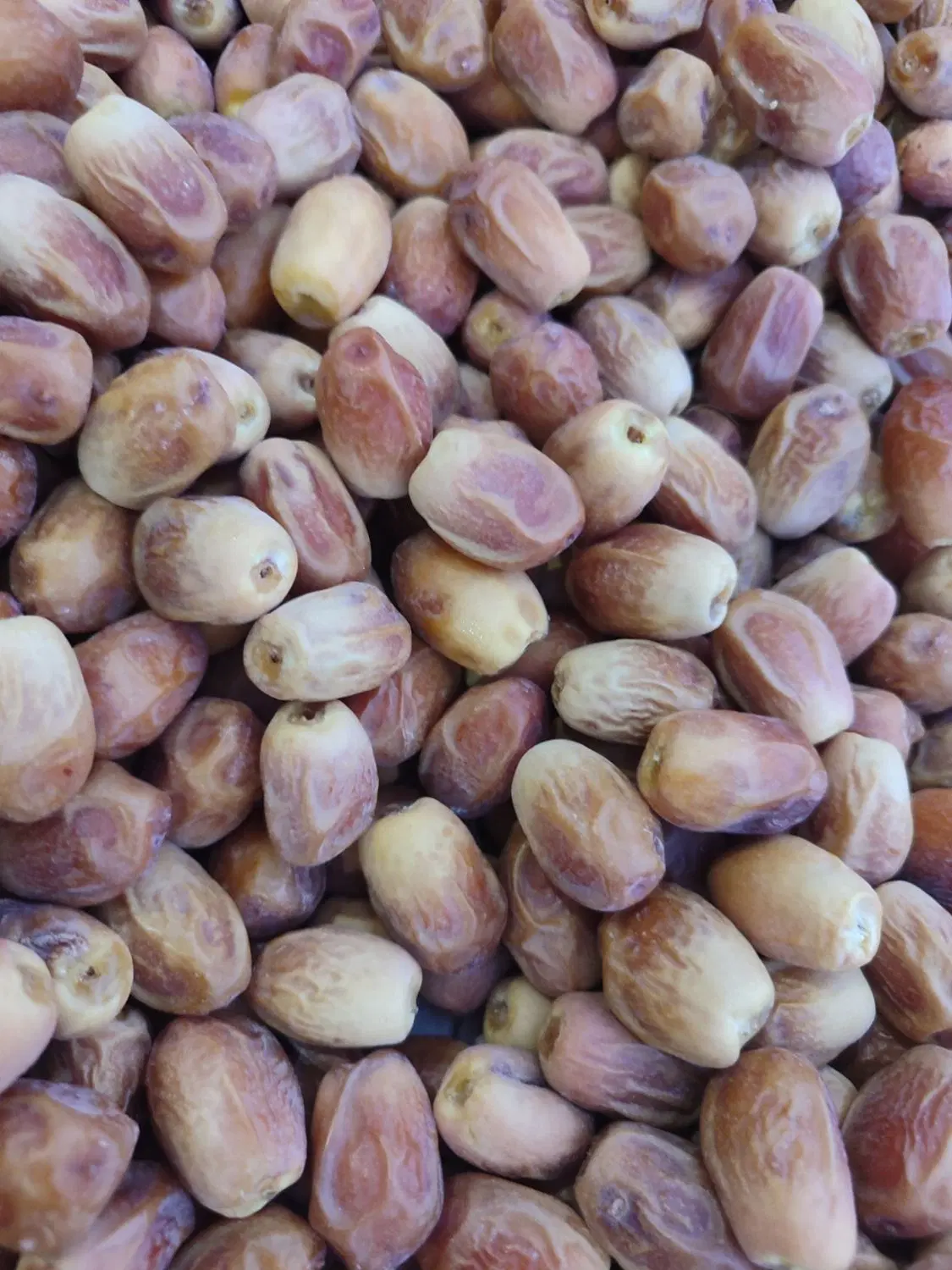 قصب|خوردنی و آشامیدنی|ارم, |دیوار