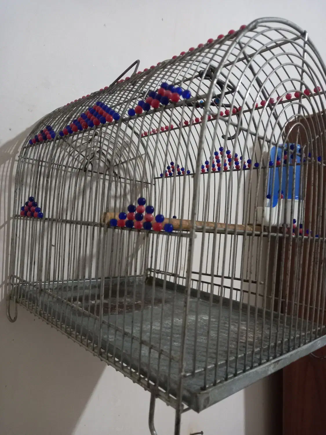 سهره قفس|لوازم جانبی حیوانات|رشت, لاکان|دیوار