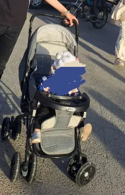 کالسکه|کالسکه و لوازم جانبی|فولادشهر, B1|دیوار