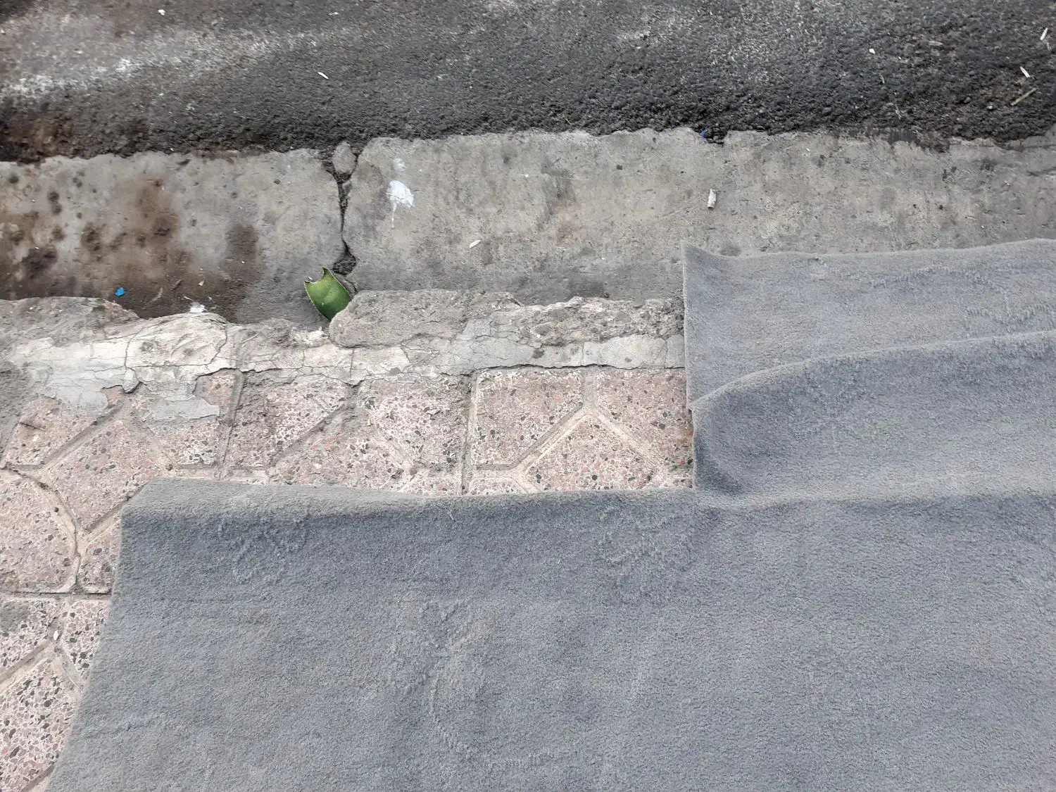 موکت کارکرده ۴۰هزارمتری|موکت|تبریز, |دیوار