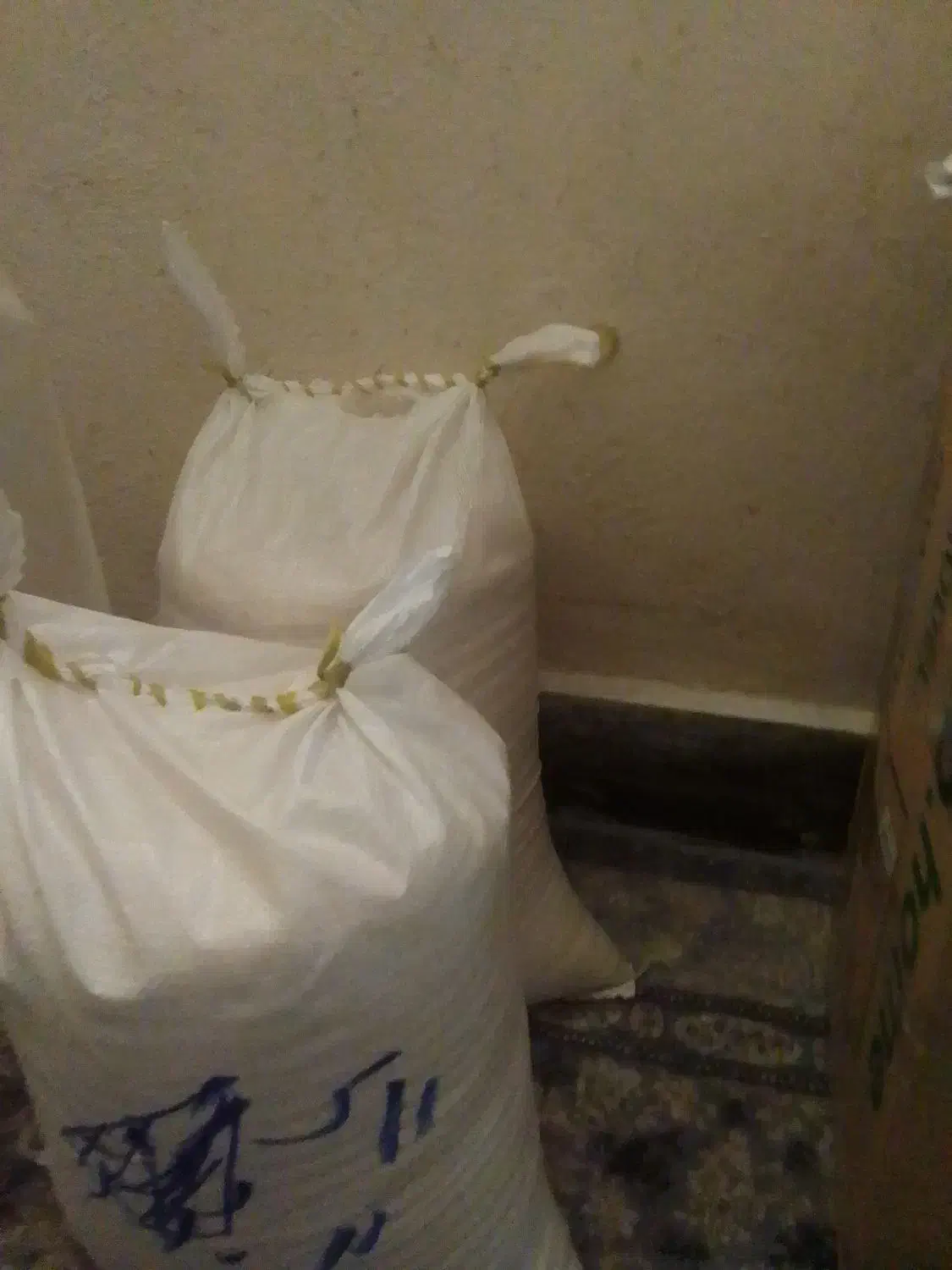 فروش نیم دانه شمال صدری دودی|خوردنی و آشامیدنی|شاهین‌شهر, طالقانی|دیوار