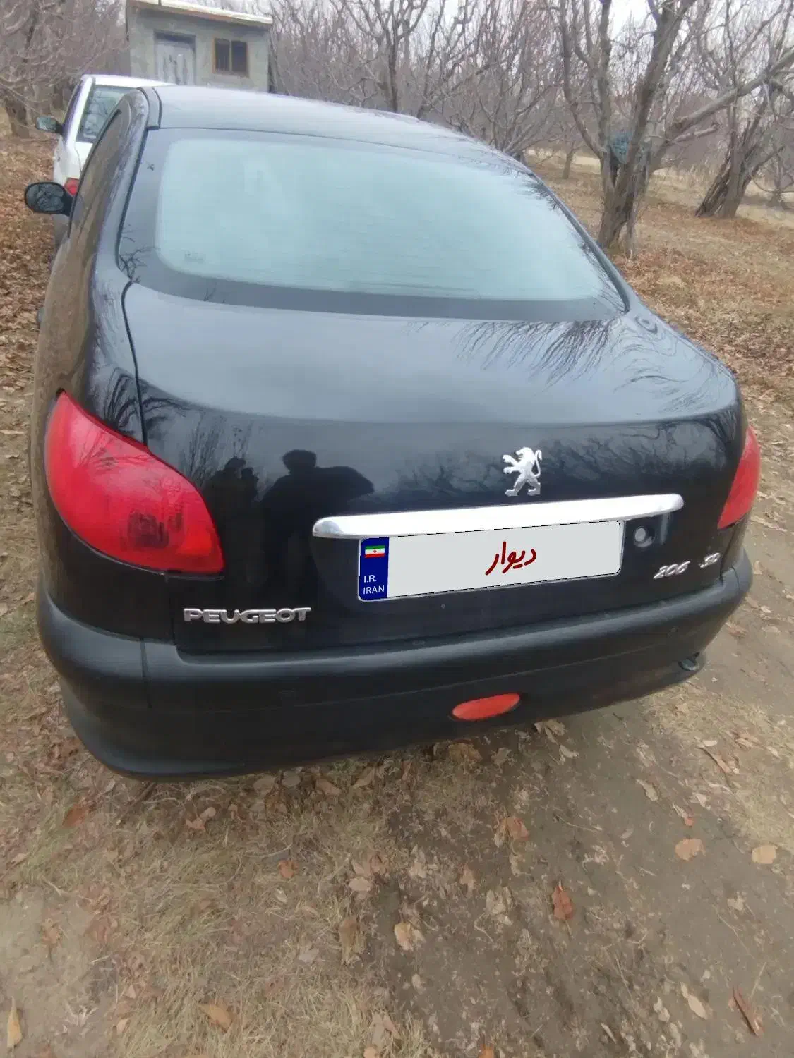 206|خودرو سواری و وانت|نقده, |دیوار