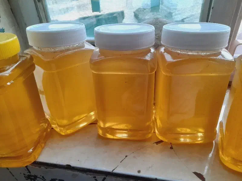 عسل گون دالاهو|خوردنی و آشامیدنی|گهواره, |دیوار