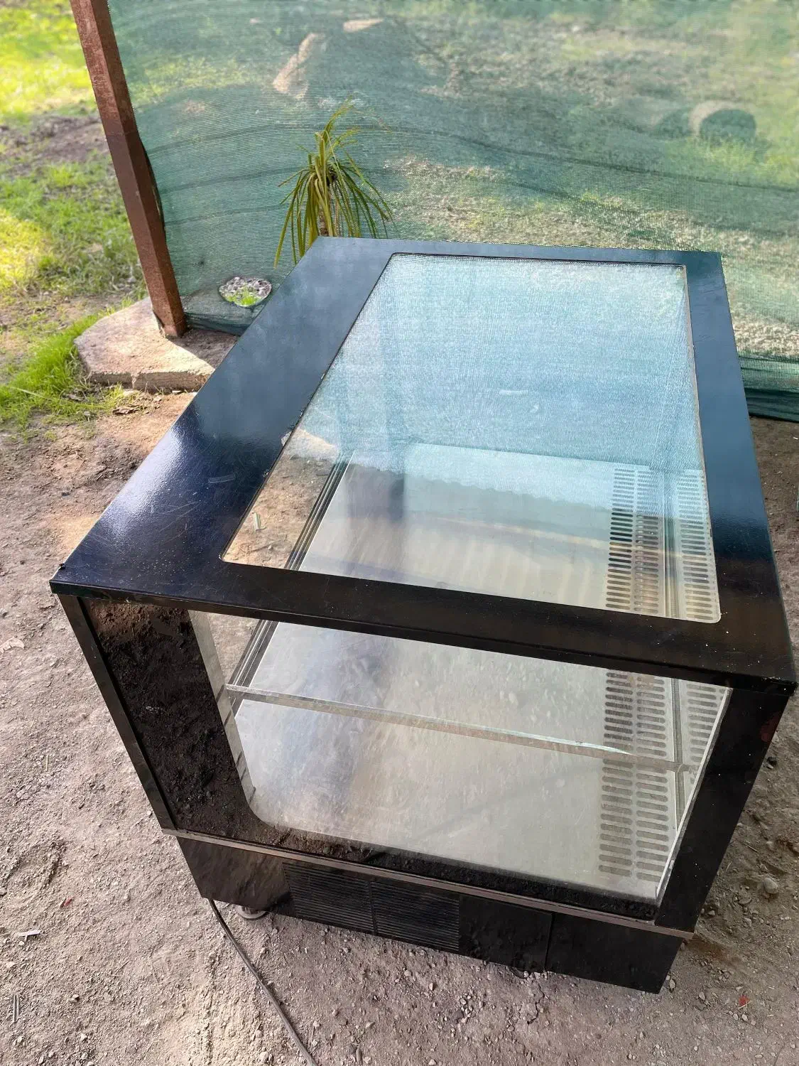 شوکیک۹۰سانتی مکس|کافی‌شاپ و رستوران|آمل, |دیوار