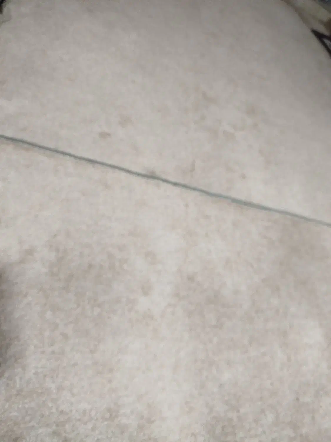 پالاز موکت تمیز فروشی|موکت|آبدانان, |دیوار