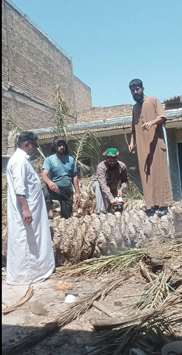 قطع نخل  بریدن درخت هرس نخل سمپاشی حشرات نخل|خدمات باغبانی و درختکاری|اهواز, پادادشهر|دیوار