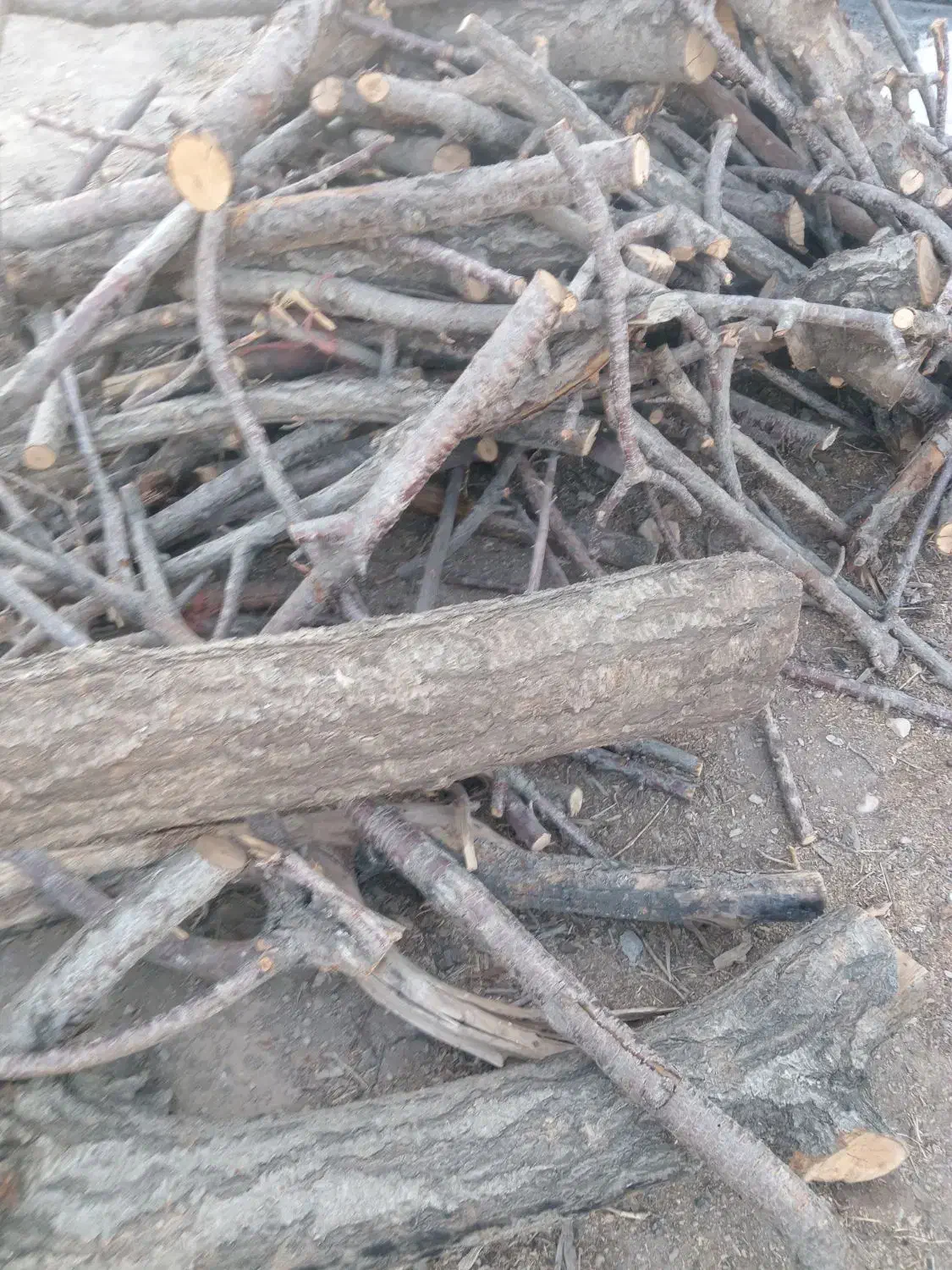 چوب خرید چوب فقط خشک|خدمات باغبانی و درختکاری|نجفآباد, یزدانشهر|دیوار