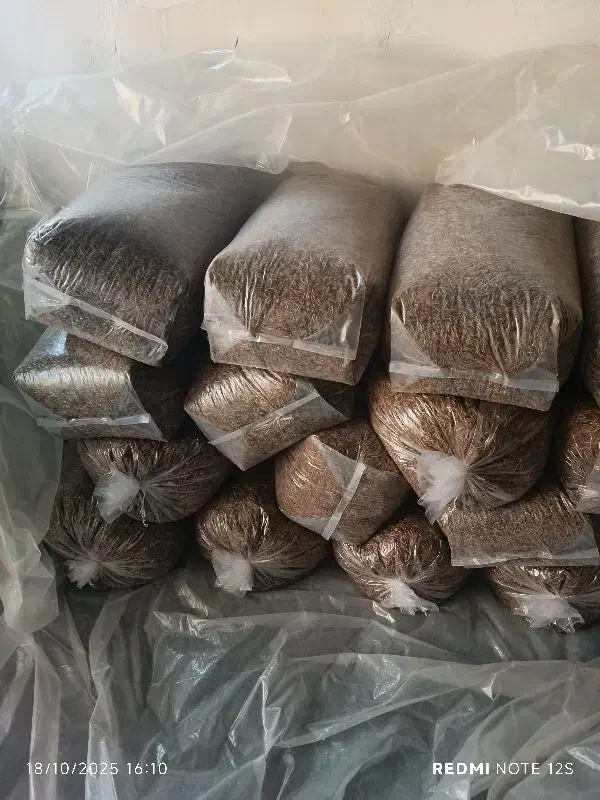 فروش میلورم خشک|خزنده|اهواز, امانیه|دیوار