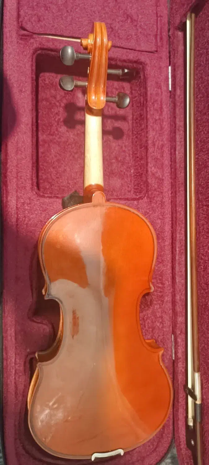 ویولن|ویولن|مشهد, ده دی|دیوار