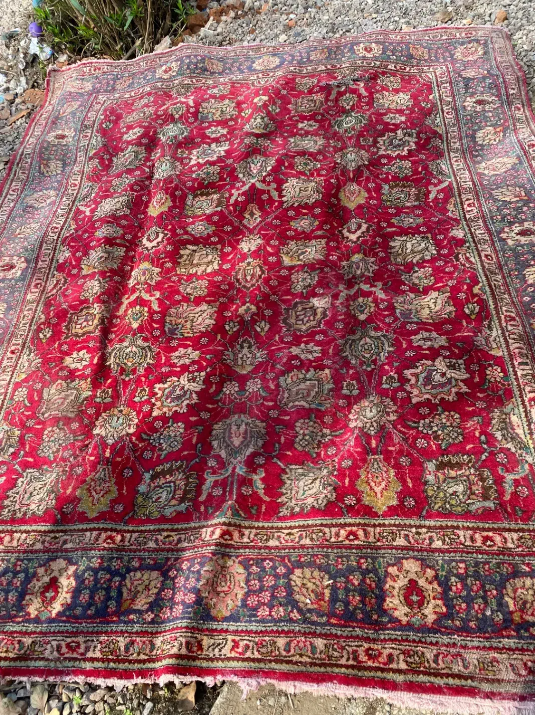 فرش دستباف|فرش|رشت, سعدی (تختی)|دیوار