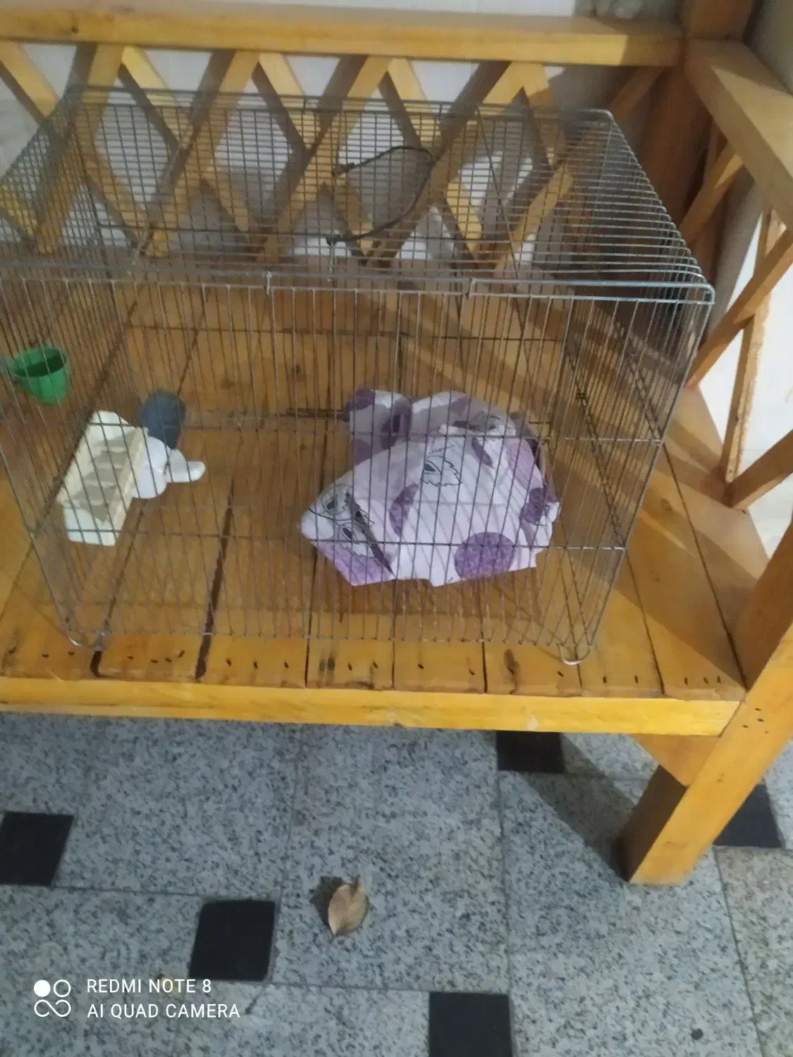 قفسه پرنده|لوازم جانبی حیوانات|مشکین‌دشت, |دیوار