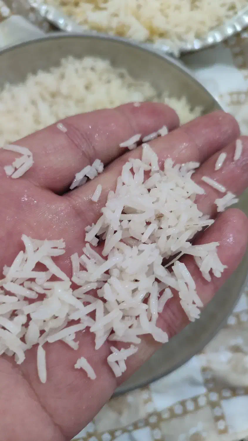 برنج شمال|خوردنی و آشامیدنی|بروجن, |دیوار