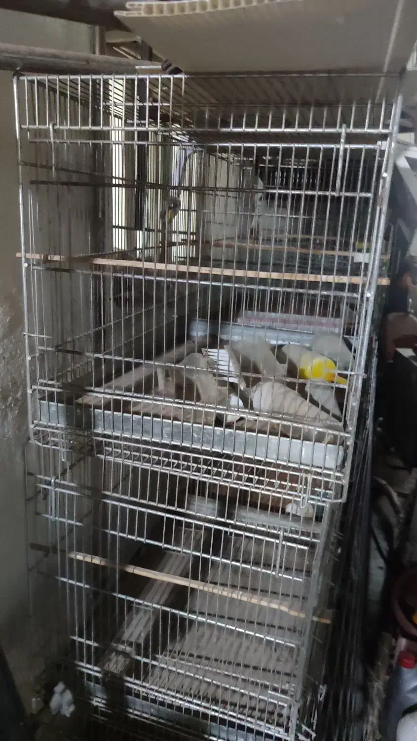 قفس وتخت خواب|لوازم جانبی حیوانات|بندر ماهشهر, |دیوار