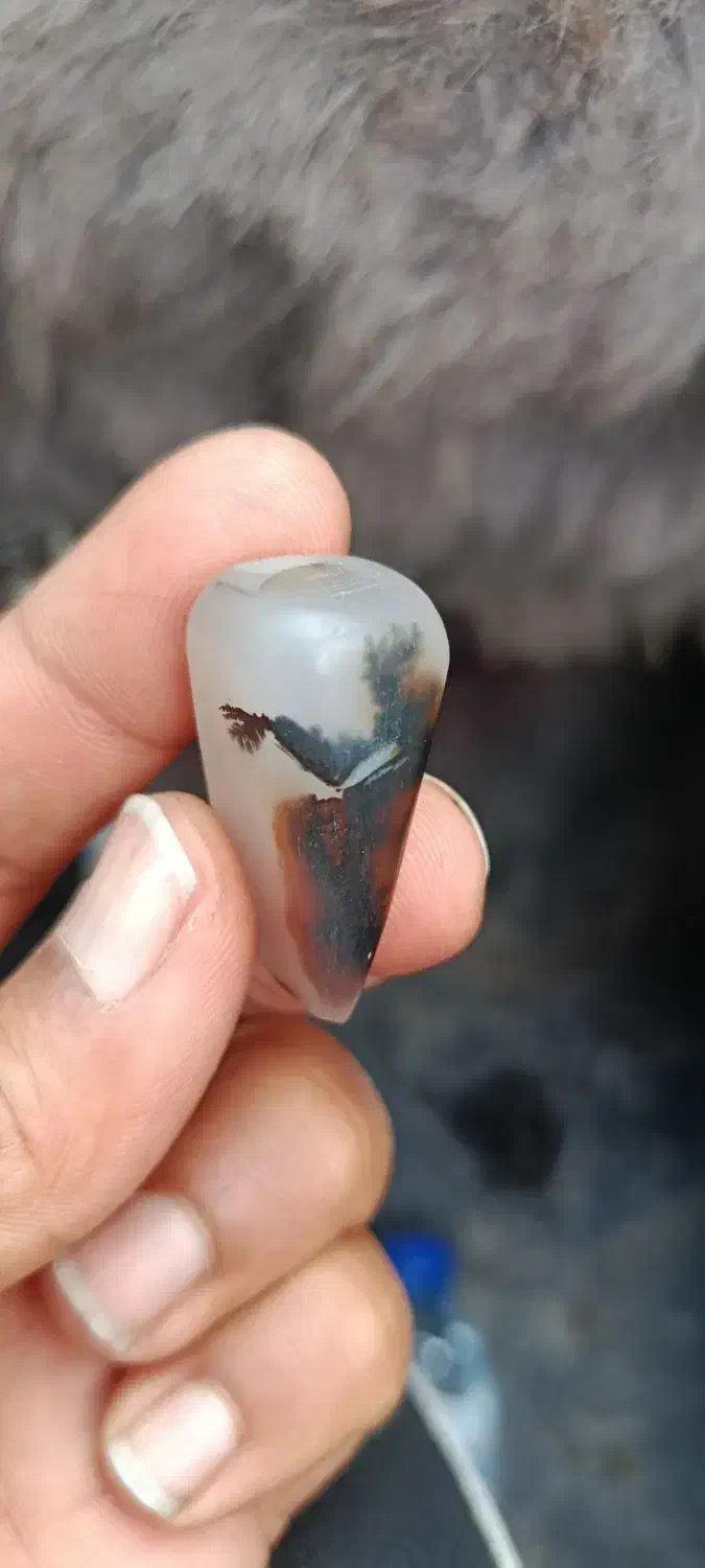 سنگ شجر معدنی|کلکسیون اشیاء عتیقه|کرمان, |دیوار