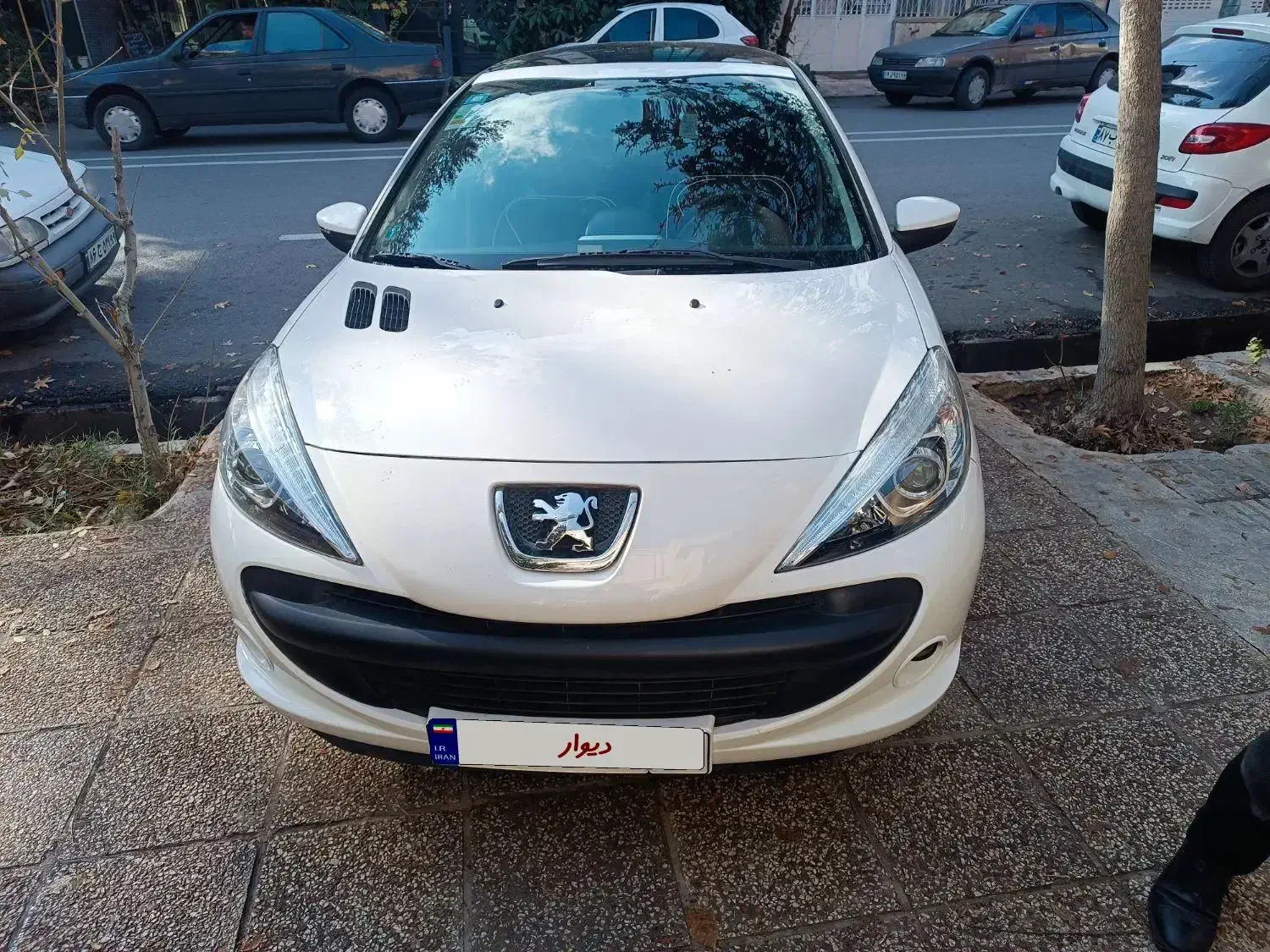 پژو 207پانا مدل 1401|خودرو سواری و وانت|شیراز, باغ تخت|دیوار
