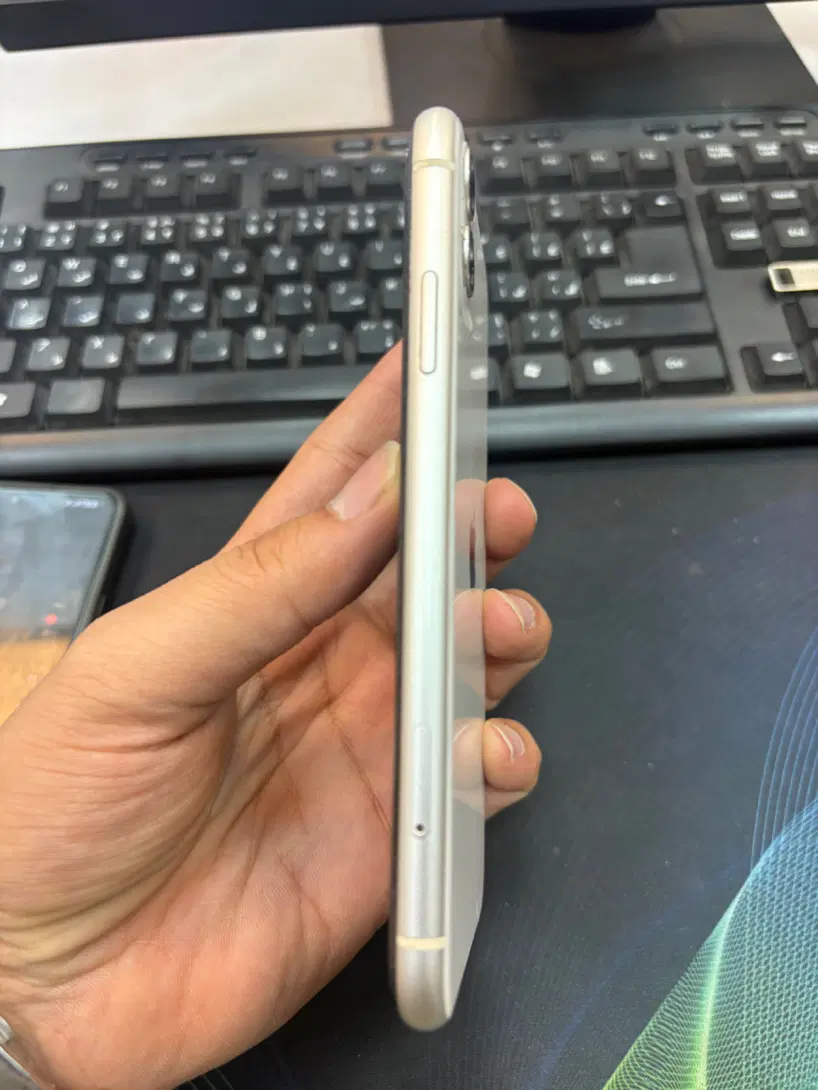 iPhone 11 ch|موبایل|کرج, شاهین‌ویلا|دیوار