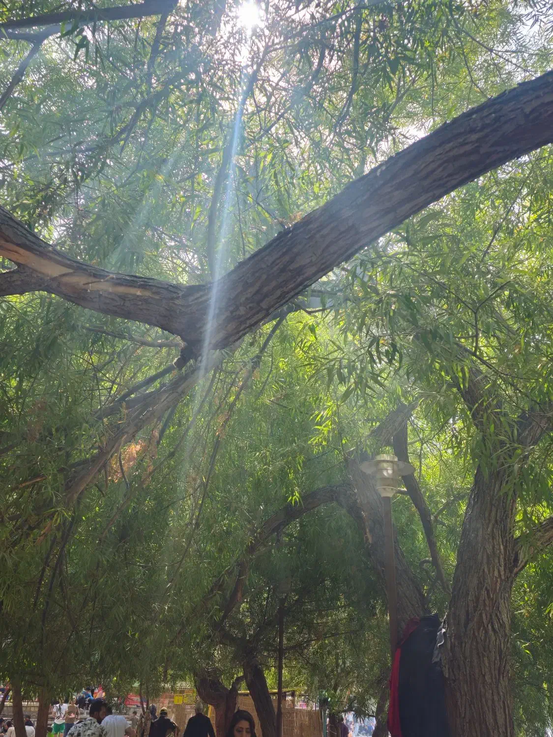 فروش خانه ویلایی  در روستای  زیبای مهرگرد  (سمیرم)|فروش خانه و ویلا|وردشت, |دیوار