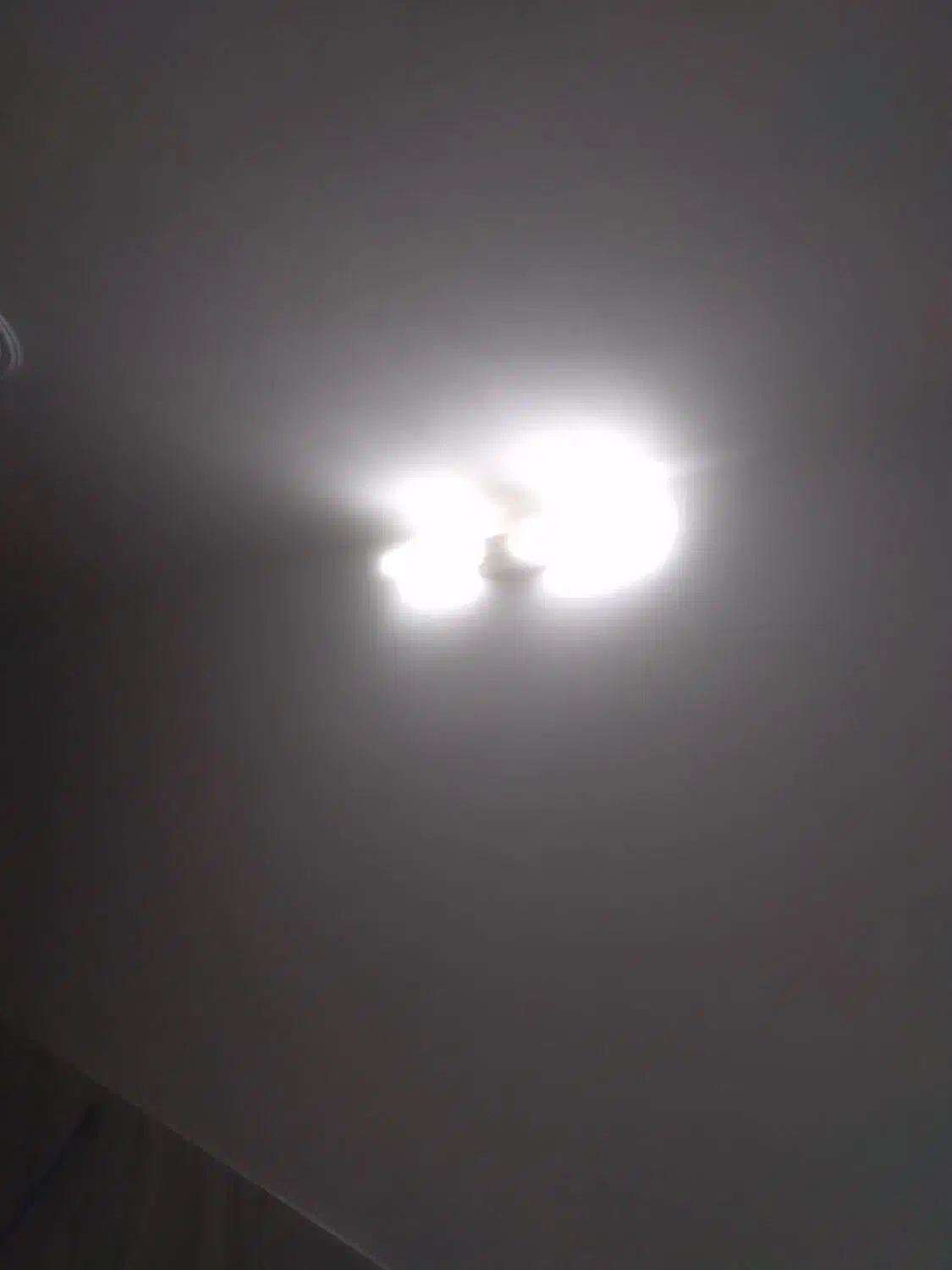 سیم کشی ساختمان ورفع اتصالی کلید و پریز|خدمات پیشه و مهارت|ری, دیلمان|دیوار