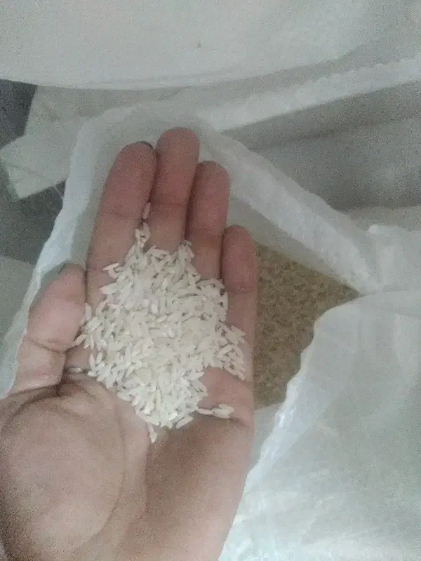 برنج هاشمی سورتینگ زده|خوردنی و آشامیدنی|لنگرود, |دیوار