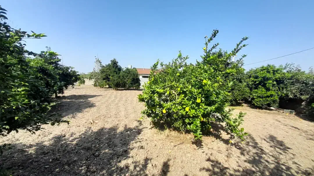 زمین مسکونی|فروش زمین و ملک کلنگی|گتاب, |دیوار