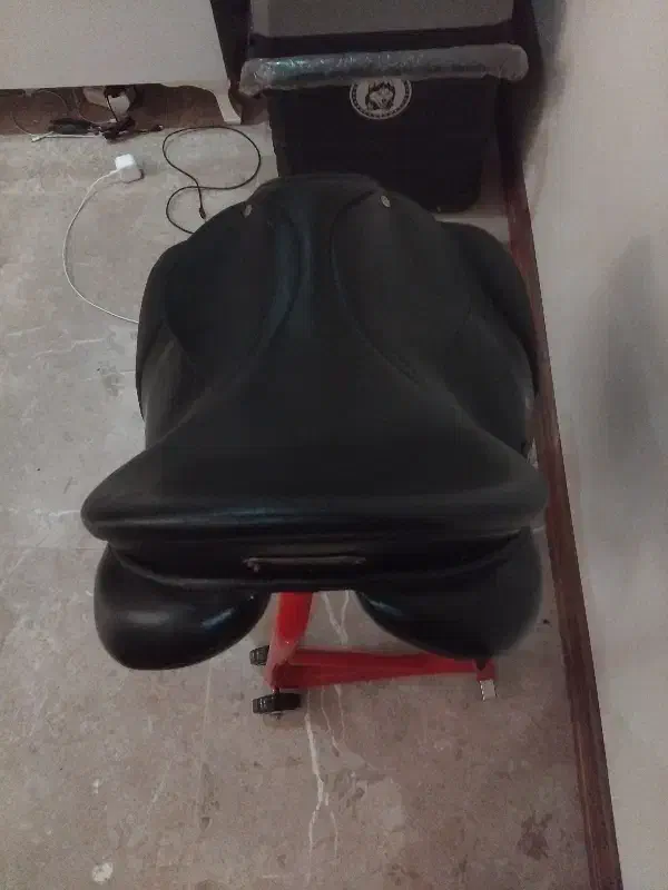 زین اسب انگلیسی|اسب و تجهیزات اسبسواری|تهران, جماران (نیاوران)|دیوار