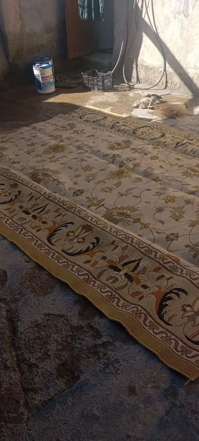 قالی|فرش|دهگلان, |دیوار