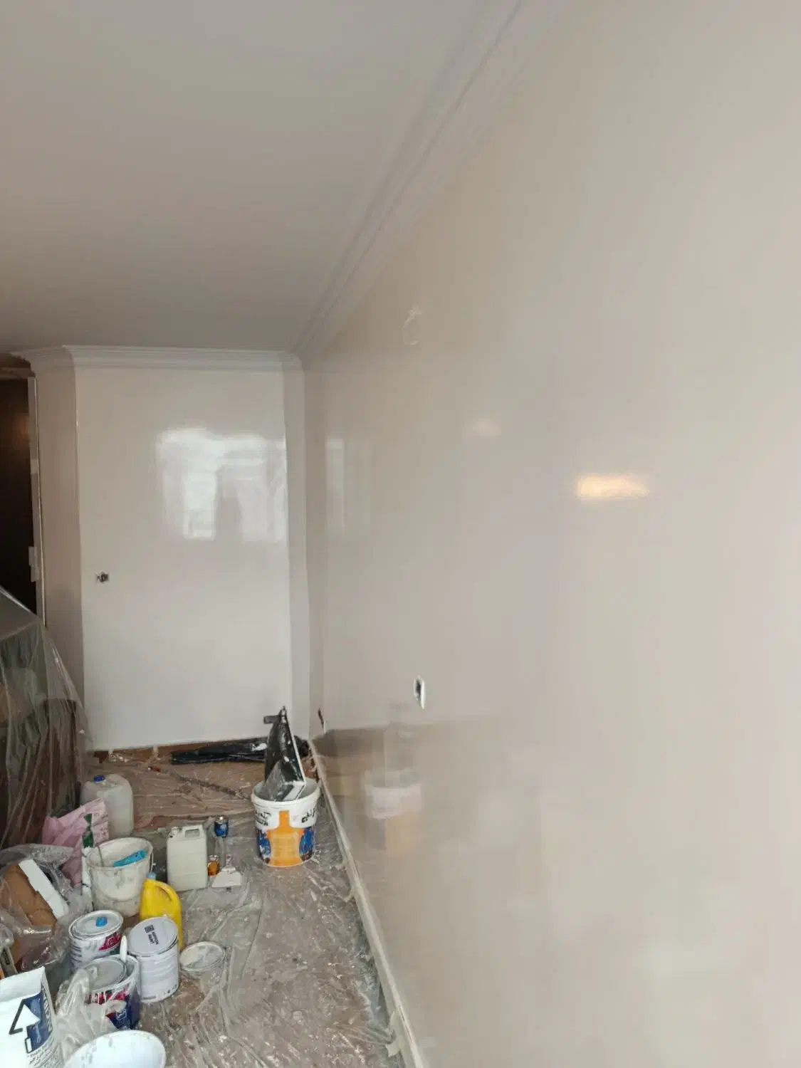 رنگ آمیری و نقاشی ساختمان|خدمات پیشه و مهارت|تهران, شهرک هما|دیوار