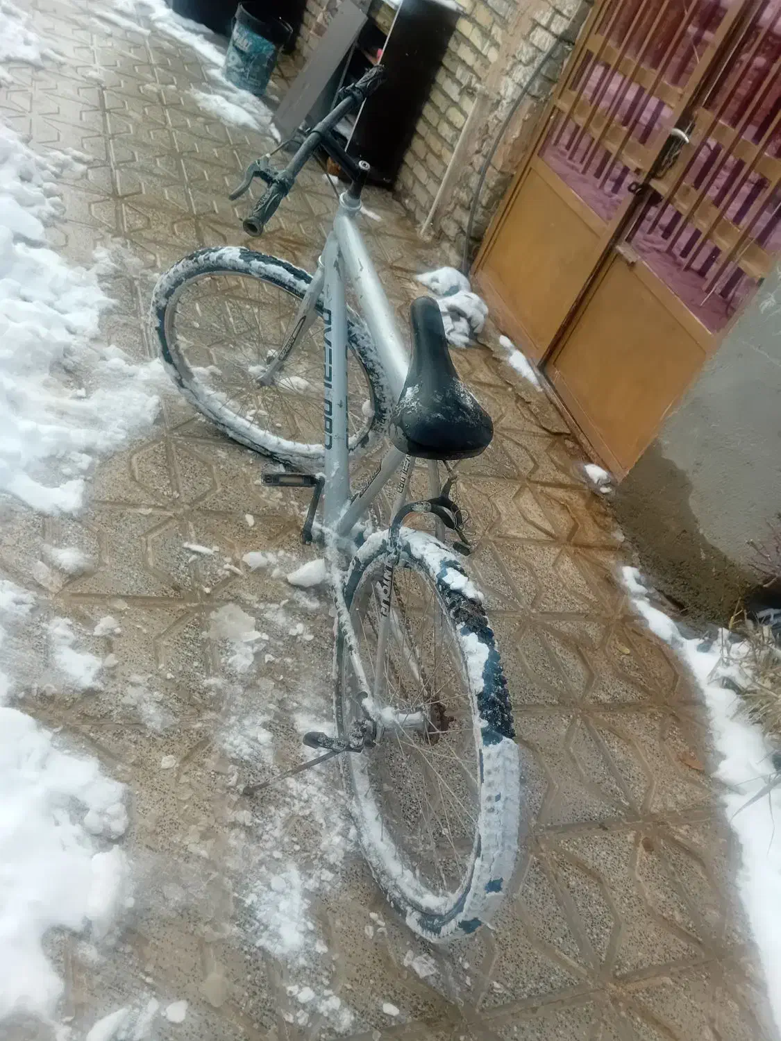 دوچرخه|دوچرخه، اسکیت، اسکوتر|تربت‌حیدریه, بالا ولایت|دیوار