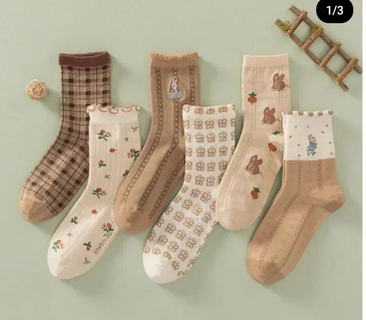 گالری جوراب پا به پا|لباس|شیروان (خراسان), |دیوار