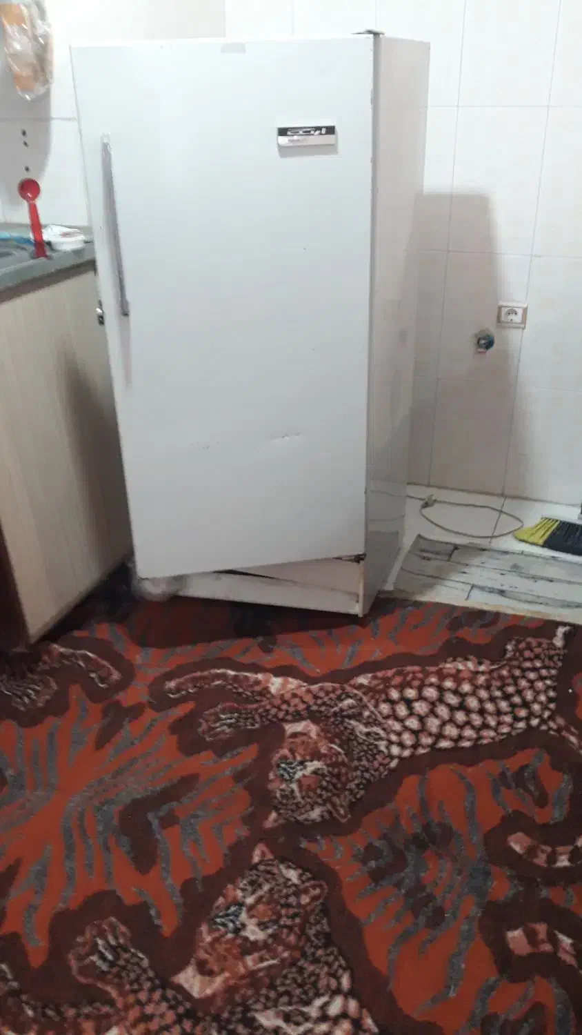 فرش ۱۲متری ویخچال|فرش|سهند, |دیوار