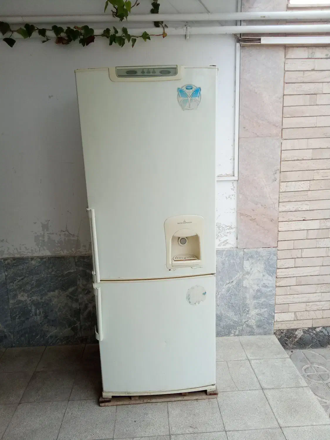 یخچال فریزر|یخچال و فریزر|بیرجند, |دیوار