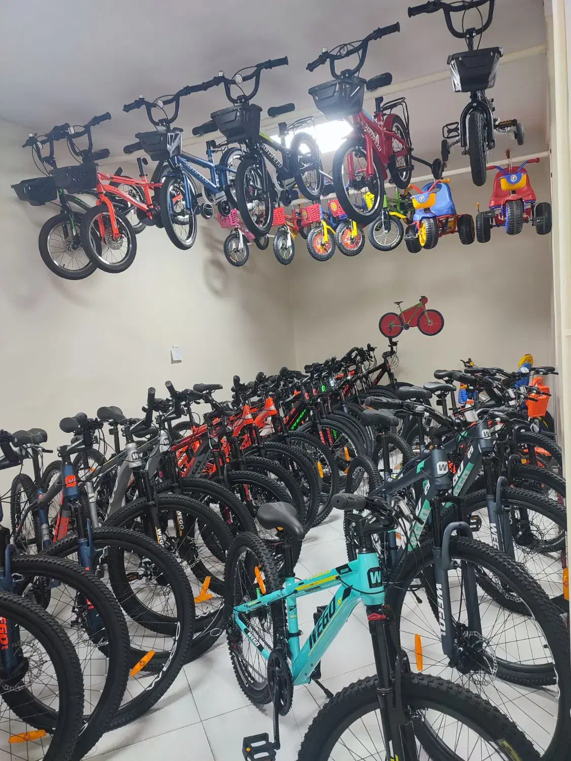 گالری دوچرخه|دوچرخه، اسکیت، اسکوتر|کرج, ساسانی (قلمستان)|دیوار