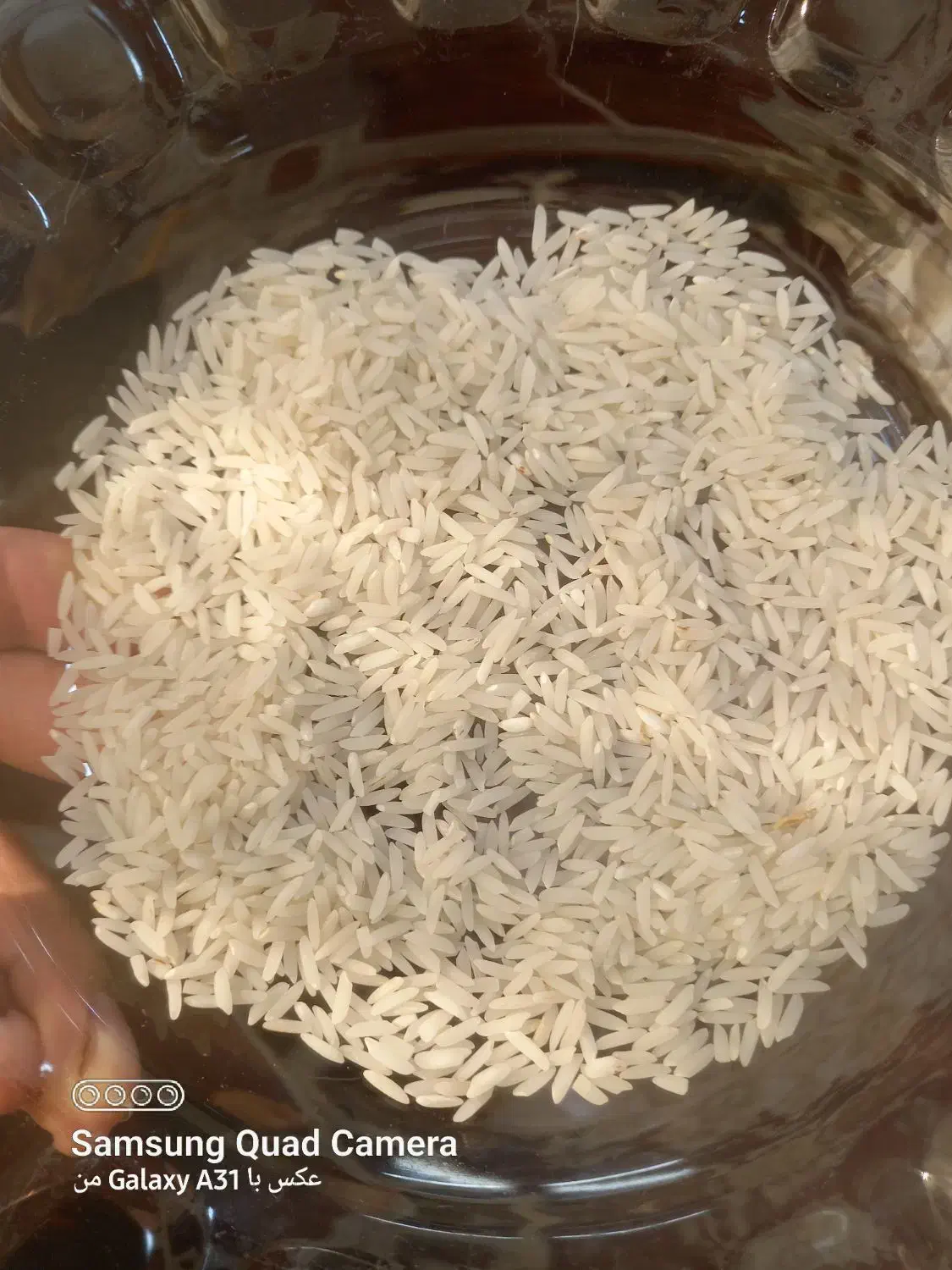 برنج بینام کشت دوم|خوردنی و آشامیدنی|دابودشت, |دیوار