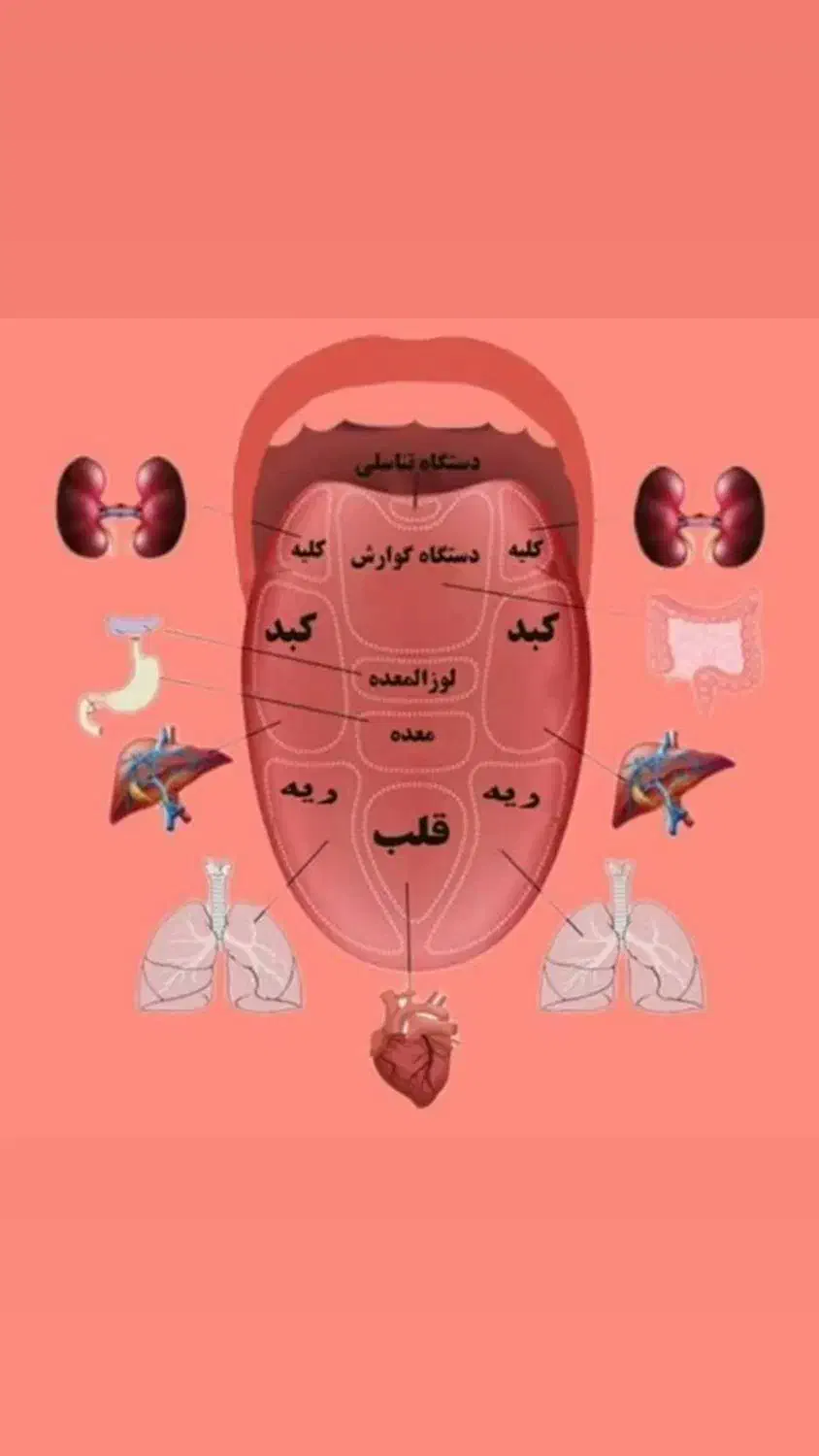 مزاج شناسی ودرمان ببیماریها با طب سنتی|خدمات آرایشگری و زیبایی|فارسان, |دیوار
