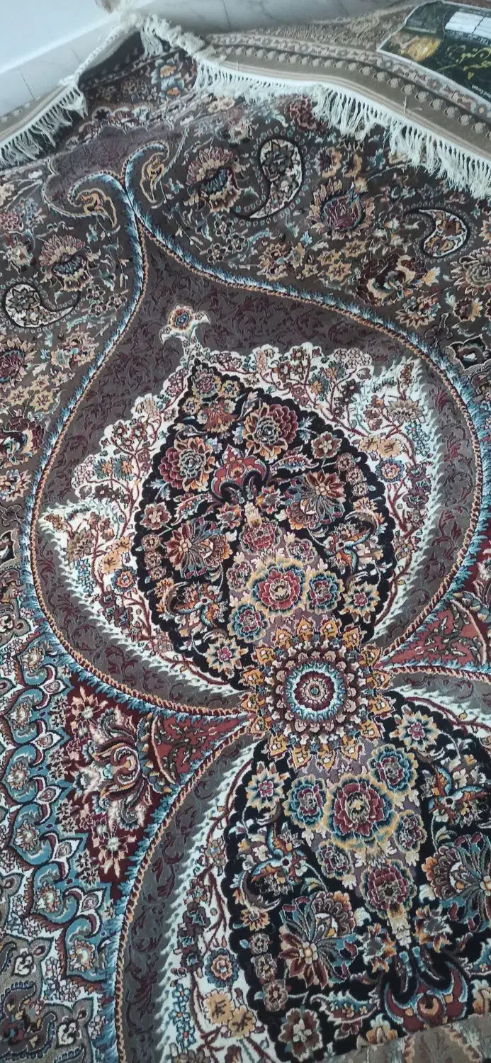 فرش|فرش|تایباد, |دیوار