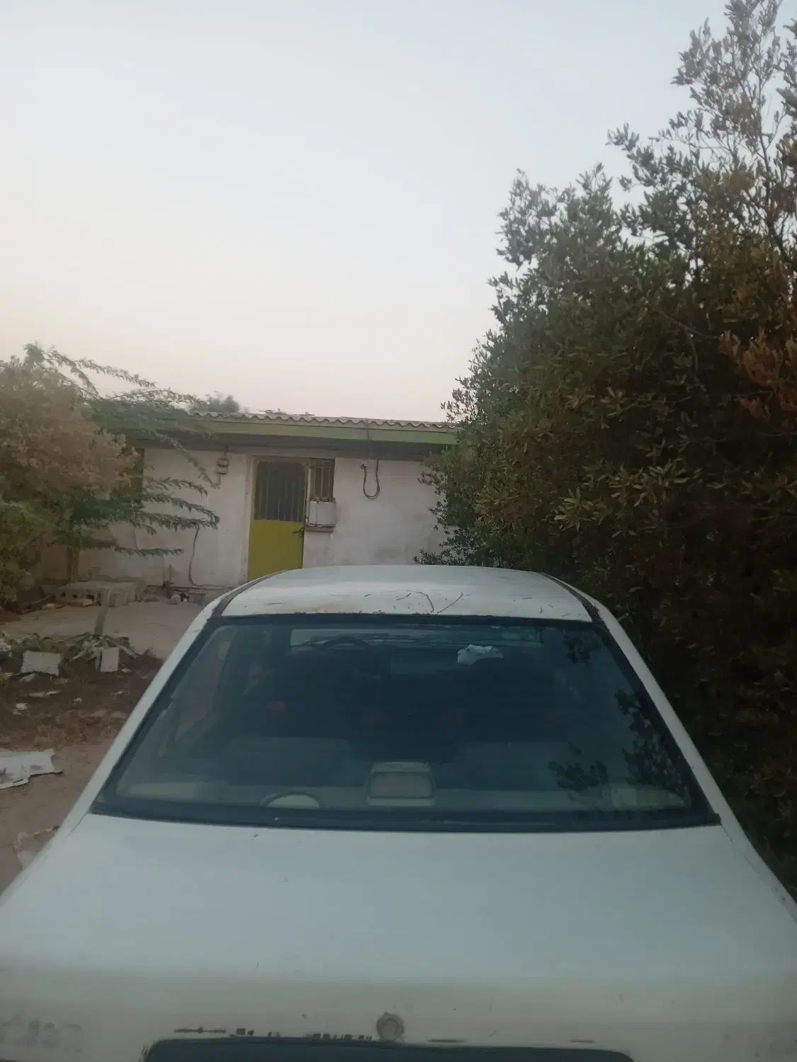 فروش پراید صبا مدل۸۱|خودرو سواری و وانت|بوشهر, |دیوار