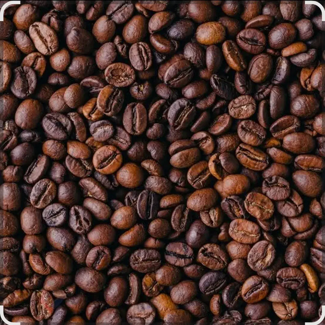 پخش قهوه  و تمام لوازم و اکسسوری  کافه|کافی‌شاپ و رستوران|لاهیجان, شیشه گران|دیوار