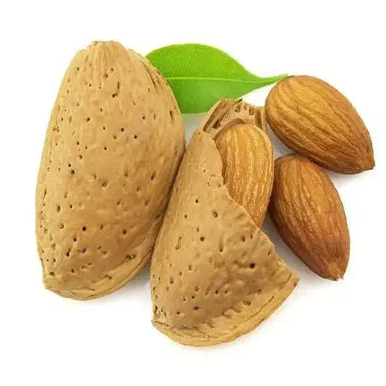 بادام درختی تازه امسال|خوردنی و آشامیدنی|قم, آزادگان|دیوار
