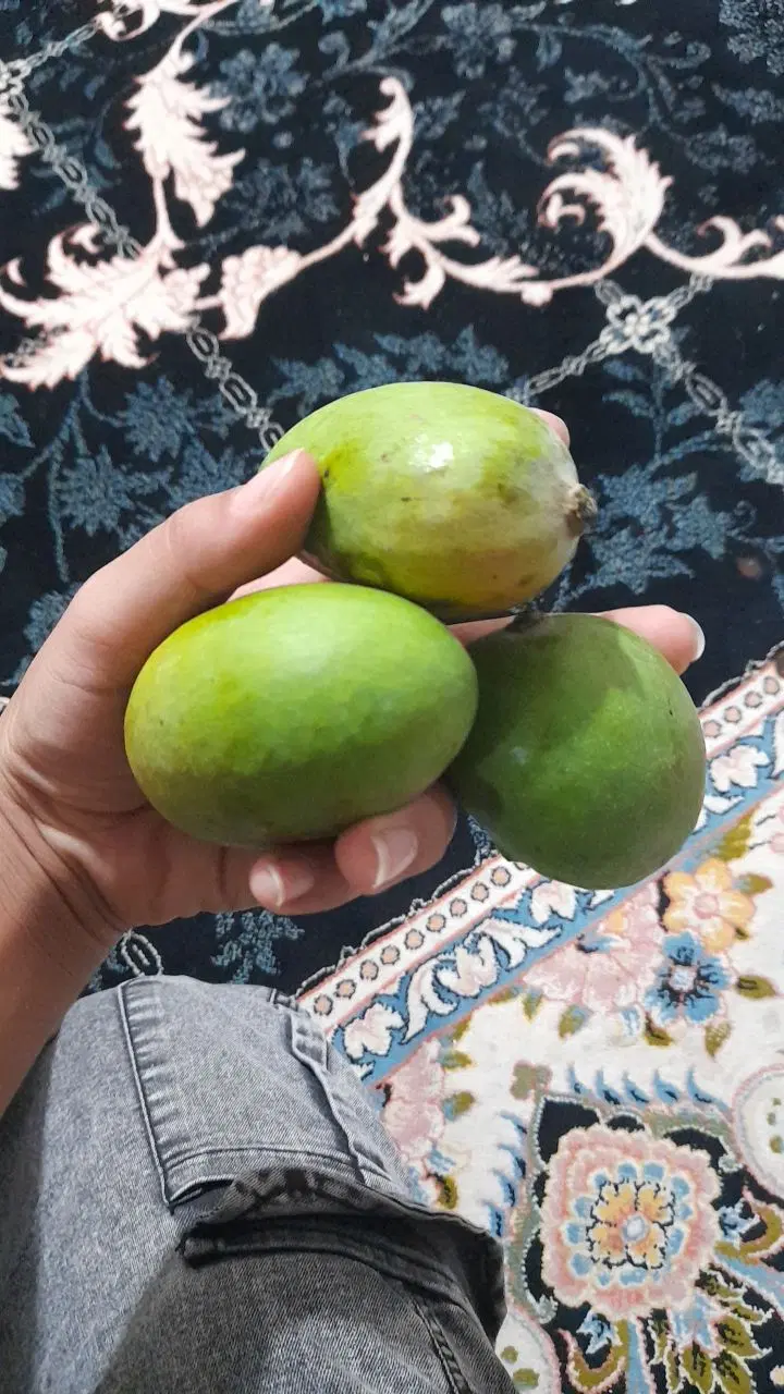 انبه|خوردنی و آشامیدنی|کوهپایه, |دیوار